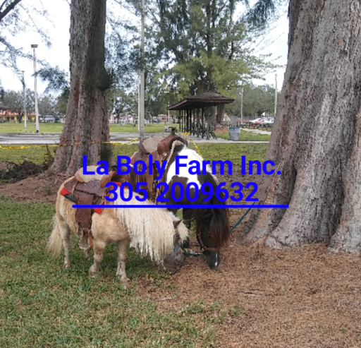 Park «McDonald Park», reviews and photos, 7505 W 12th Ave, Hialeah, FL 33014, USA