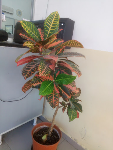 Nokta Erkek Kuaförü