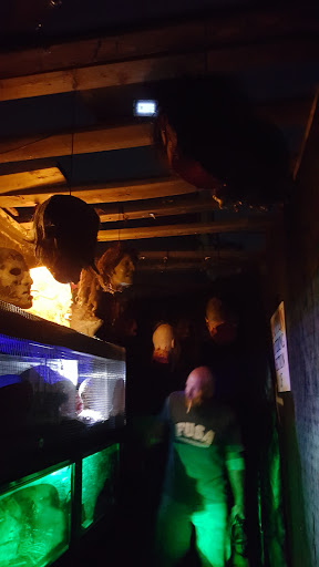 Amusement Center «Playland», reviews and photos, 5290 S Dort Hwy, Flint, MI 48507, USA