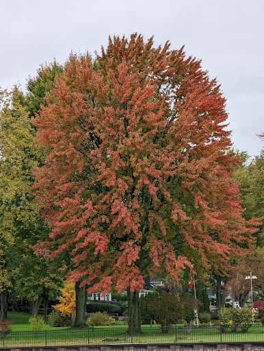 Park «Walter & Mary Burke Park», reviews and photos, 36300 Front St, New Baltimore, MI 48047, USA