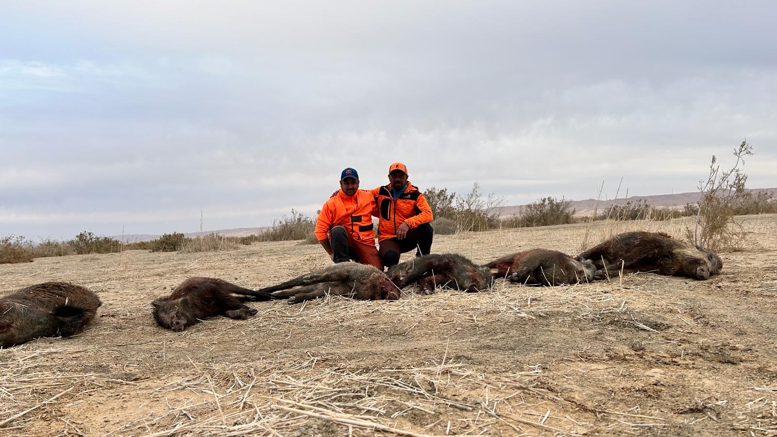 Photo n° 2 de l'avis de David.a fait le 20/03/2024 à 14:42