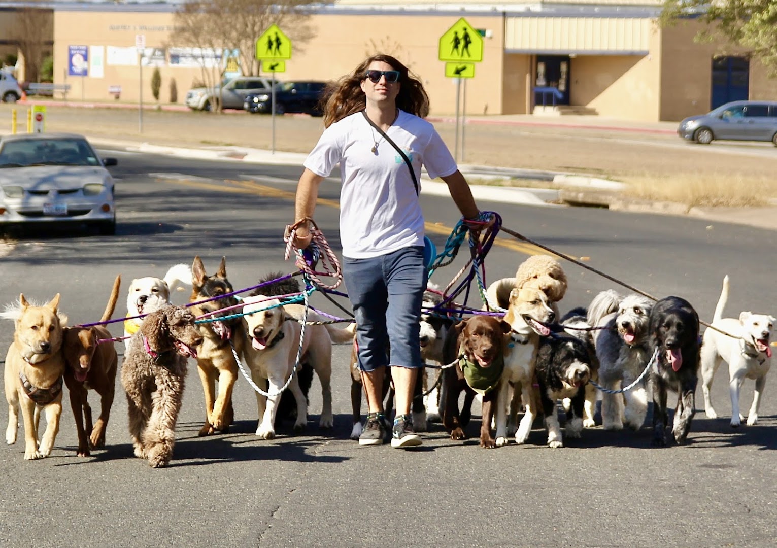 Walk! ATX Pet Care