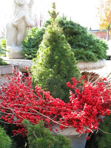 Gourmet Grocery Store «Fruit Center Marketplace», reviews and photos, 10 Bassett St, Milton, MA 02186, USA