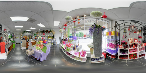 Florist «Expressions Floral Design Studio», reviews and photos, 1247 N Hamilton Rd, Gahanna, OH 43230, USA