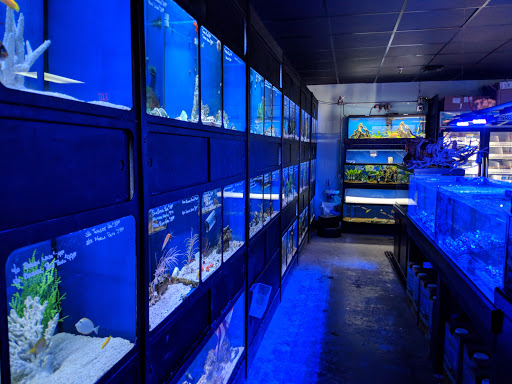 Tropical Fish Store «Aquatic Obsessions», reviews and photos, 1150 St George Ave, Avenel, NJ 07001, USA