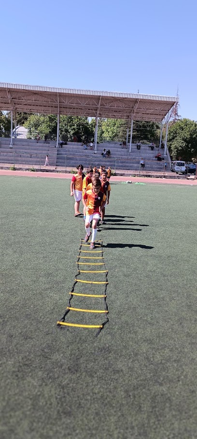 Galatasaray Futbol Okulu