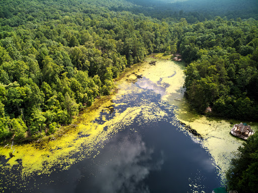 Park «Bays Mountain Park & Planetarium», reviews and photos, 853 Bays Mountain Rd, Kingsport, TN 37660, USA