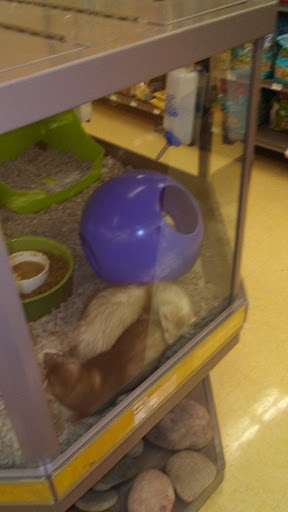 Supermarket «ALDI», reviews and photos, 400 Englar Rd b, Westminster, MD 21157, USA