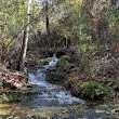 Upper Bull Creek Greenbelt