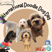 Pampered Pupperinos & Pals, LLC - Photo 1 - Car repair in , Omaha