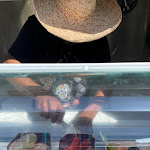 Photo n° 4 de l'avis de Very.e fait le 29/07/2023 à 15:26 pour Sorbet Douceur à Orly