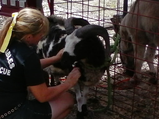 Pet Supply Store «Pet Supermarket», reviews and photos, 2339 NW 13th St, Gainesville, FL 32609, USA