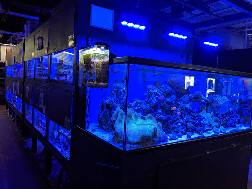 Pet Store «Something Fishy: Saltwater Aquarium Superstore», reviews and photos, 511 E 21st St, Northampton, PA 18067, USA