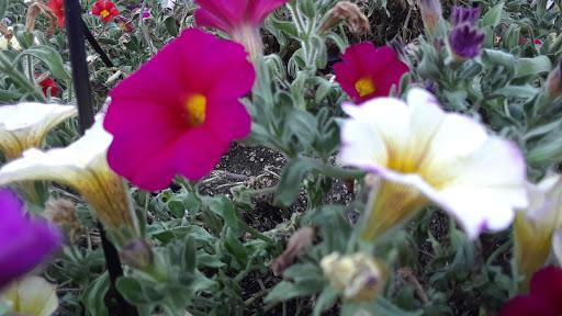 Department Store «Walmart Supercenter», reviews and photos, 620 Gravel Pike, East Greenville, PA 18041, USA