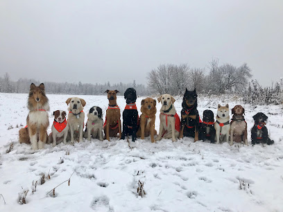 Green Mountain Canine Camp