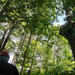 Photo n°6 de l'avis de Olandese.o fait le 25/06/2022 à 10:33 sur le  Parco Avventura Adrenalina Verde à Serra San Bruno
