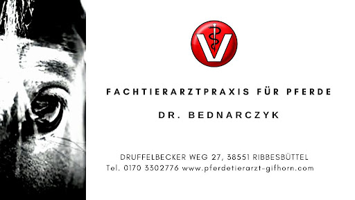 Fachtierarztpraxis für Pferde Dr. Bednarczyk unter Ribbesbüttel, Niedersachsen