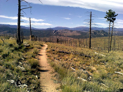 Nice Kitty Trailhead