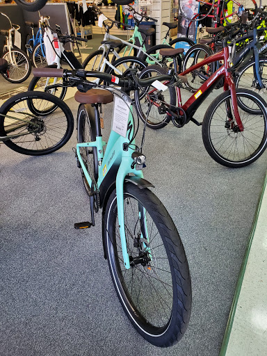 Bicycle Store «Chainwheel Drive», reviews and photos, 32796 US Hwy 19 N, Palm Harbor, FL 34684, USA