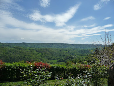 GITE LE Mas des Vignes Mouret à Mouret