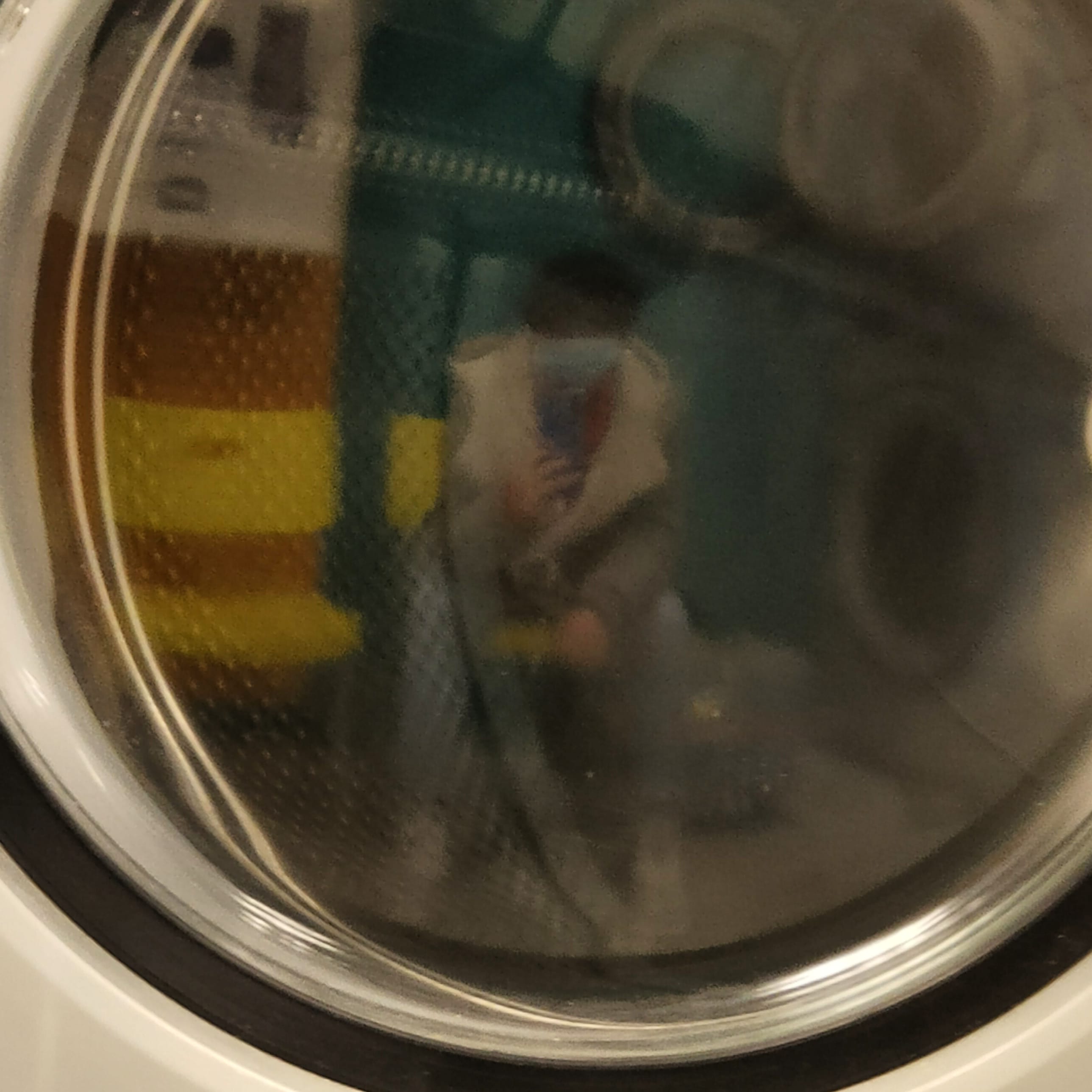 Photo n° 1 de l'avis de Gwenaëlle.h fait le 10/10/2020 à 22:52