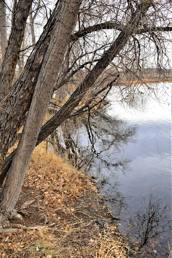 Park «Vanderbilt Park», reviews and photos, 855 S Platte River Dr, Denver, CO 80223, USA