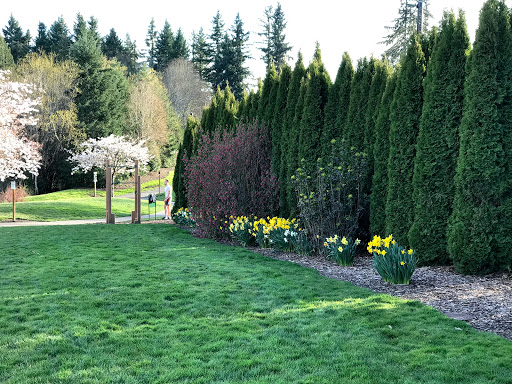 Park «Orchard Park», reviews and photos, 20900 NW Amberwood Dr, Hillsboro, OR 97124, USA