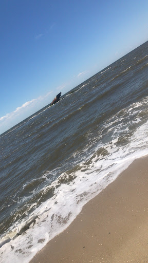 Historical Landmark «Wreck of the SS Atlantus», reviews and photos, Sunset Blvd, Cape May, NJ 08204, USA
