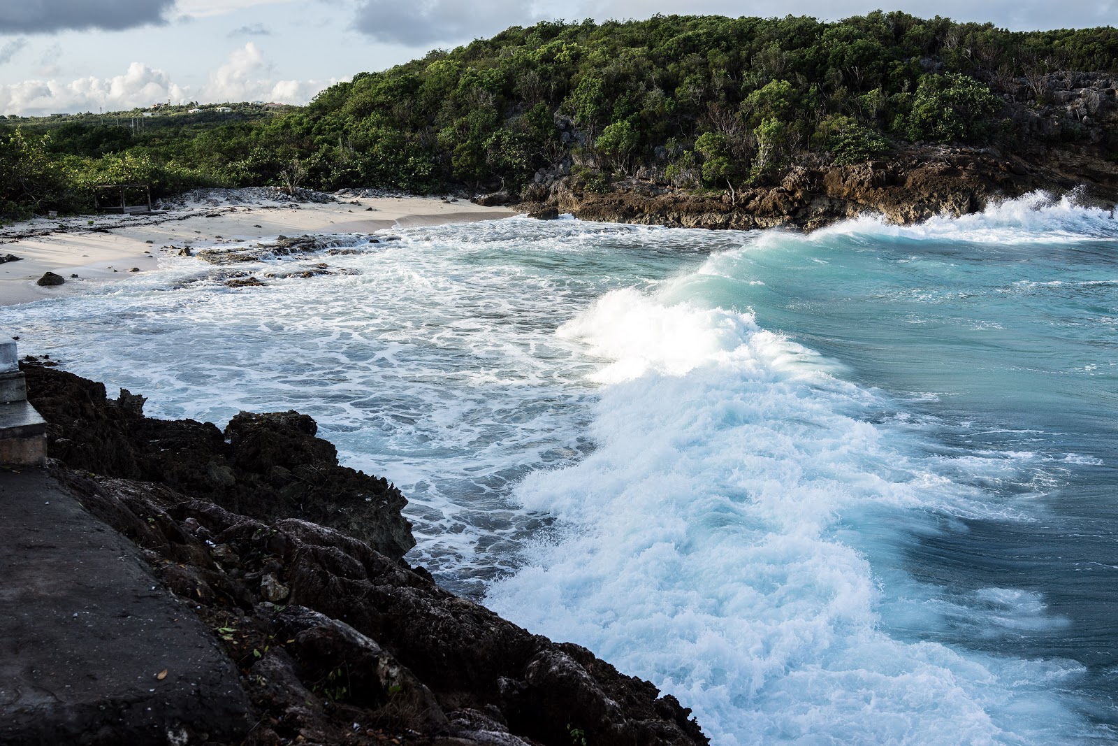 Photo de Black Garden Bay avec baie spacieuse