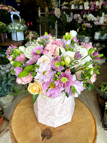 Comentarii opinii despre Kwiaciarnia Zapach Natury