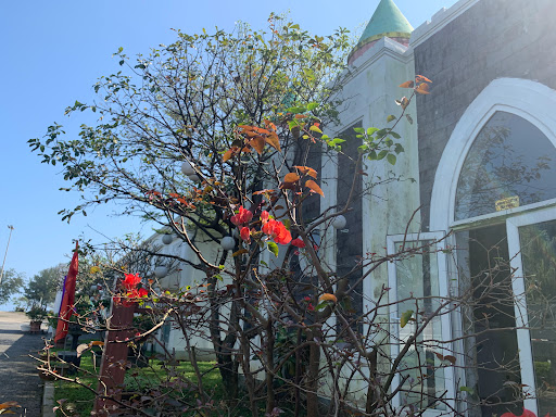 Top 10 cửa hàng đồ gỗ Huyện Đảo Cồn cỏ Quảng Trị 2022