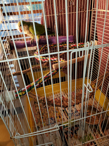 Pet Supply Store «Petco Animal Supplies», reviews and photos, 2450 Monarch Dr #105, Laredo, TX 78045, USA