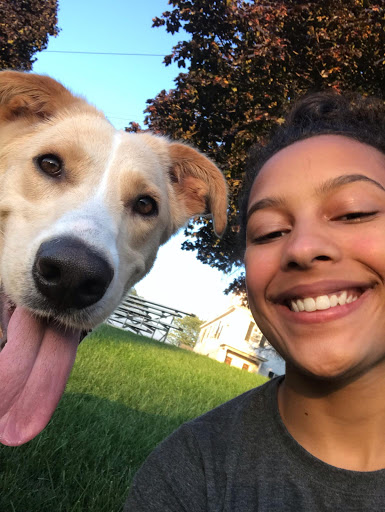 Pet Adoption Service «Humane Society for Greater Nashua», reviews and photos