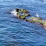 Photo n°1 de l'avis de Andrey.l fait le 28/07/2019 à 11:52 sur le  Hotel Nettuno à Catania