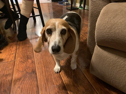 128 W Seguin St, Marion, TX 78124, USA