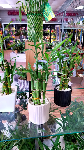 Florist «Flowerama of Plano», reviews and photos, 1151 W Parker Rd #200, Plano, TX 75023, USA