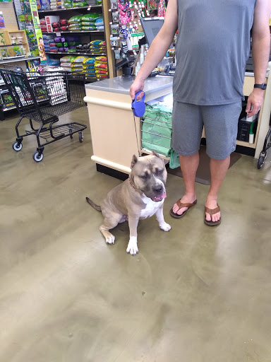 Pet Supply Store «Pet Supplies Plus», reviews and photos, 1937 FL-60, Valrico, FL 33594, USA