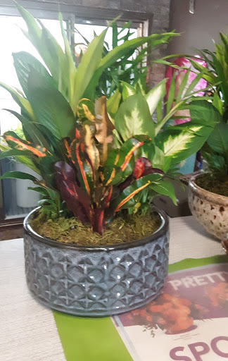 Florist «Flower Basket Florist & Gifts», reviews and photos, 1016 E Alfred St, Tavares, FL 32778, USA