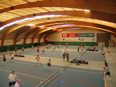 Terrain de badminton