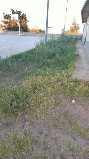 Pistes Poliesportives de Les Cases d'Alcanar en Les Cases d'Alcanar, Tarragona
