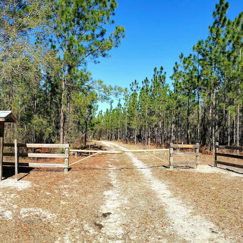 Ralph E Simmons State Forest
