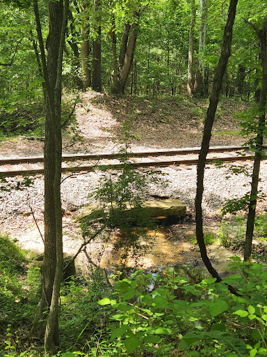 National Park «Petersburg National Battlefield Park Trailhead», reviews and photos, 5001 Siege Rd, Petersburg, VA 23804, USA