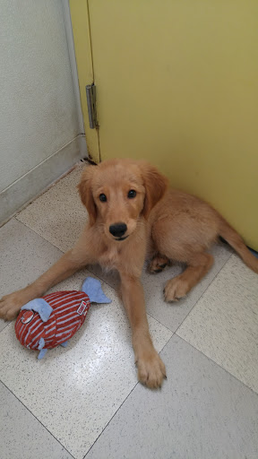 Pet Supply Store «Petland», reviews and photos, 6126 Northwest Hwy, Crystal Lake, IL 60014, USA