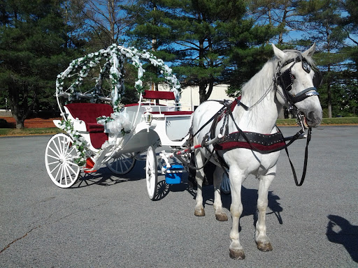 Elegant Touch Carriage Co