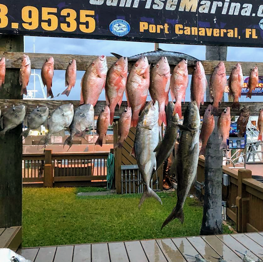 Fishing Charter «Obsession Fishing Charters», reviews and photos, 505 Glen Cheek Dr, Cape Canaveral, FL 32920, USA