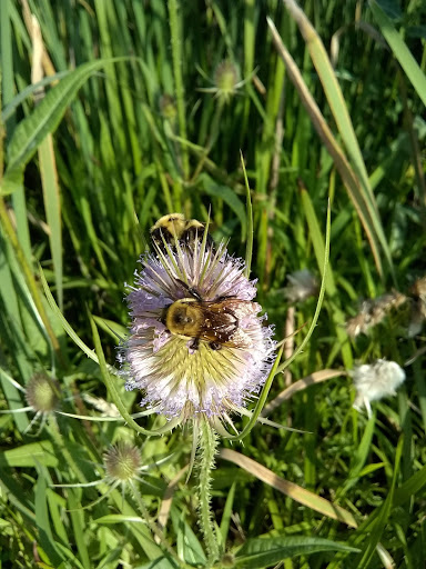 Water Park «Pioneer Waterland & Dry Fun Park», reviews and photos, 10661 Kile Rd, Chardon, OH 44024, USA