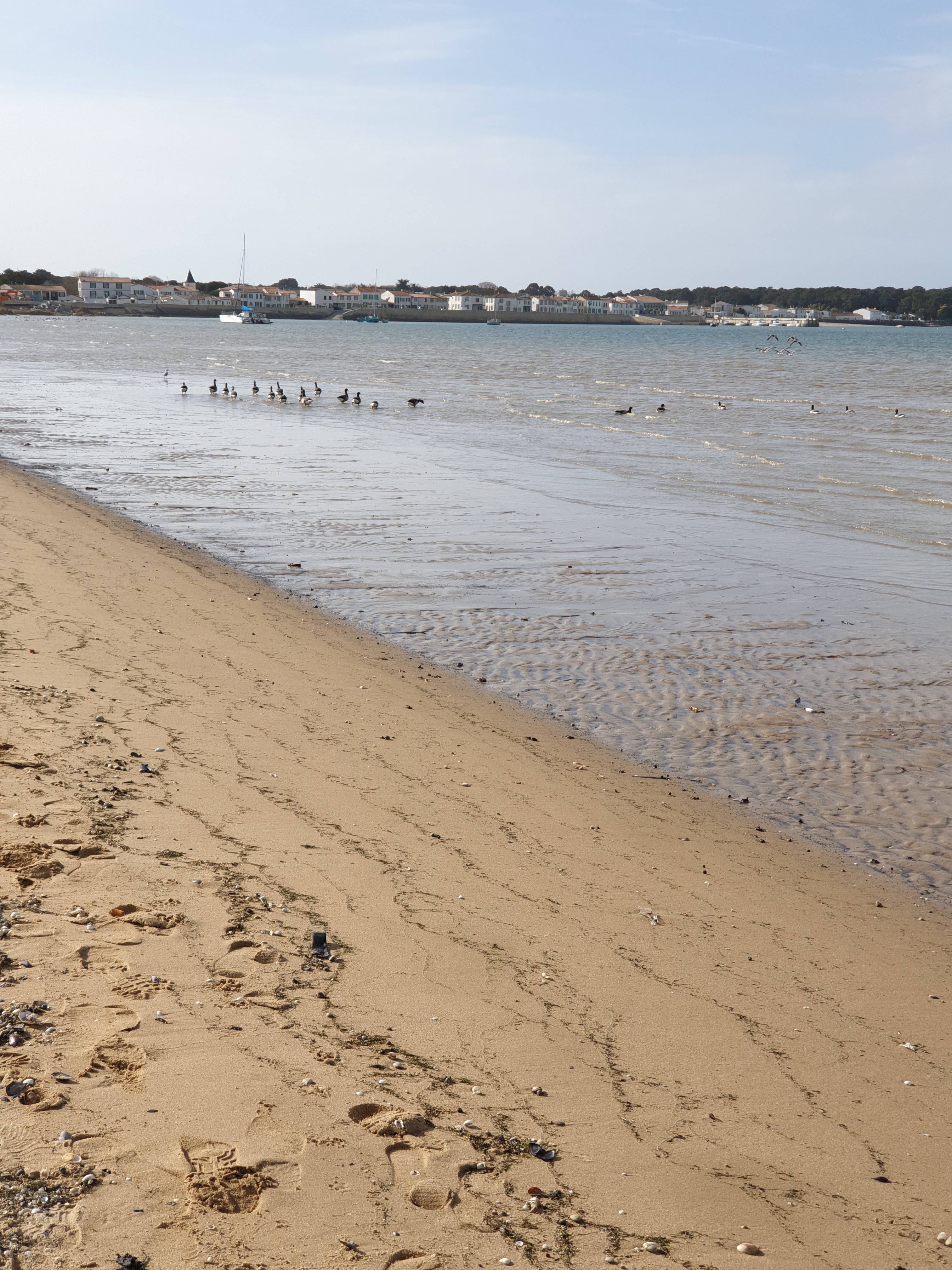 Photo n° 3 de l'avis de Laurence. fait le 03/03/2019 à 12:51