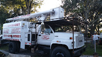 Designer cut lawn & Tree Service - Photo 9 - Car repair in St. Petersburg, FL, St. Petersburg