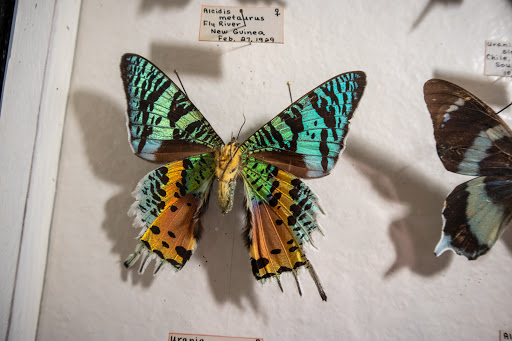 Museum «May Natural History Museum», reviews and photos, 710 Rock Creek Canyon Rd, Colorado Springs, CO 80926, USA