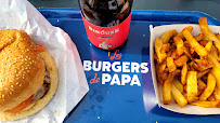 Frite du Restaurant de hamburgers Les Burgers de Papa à Saint-Étienne - n°15